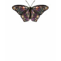 Butterfly-2 T-Shirt