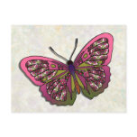 Butterfly - 30 postcards