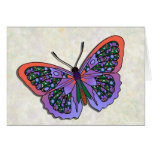 Butterfly - 31 cards