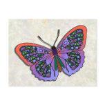Butterfly - 31 postcards