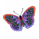 Butterfly - 31 t-shirts