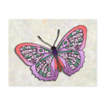 Butterfly - 32 postcards