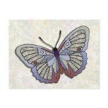 Butterfly - 34 post card