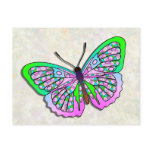 Butterfly - 36 postcards