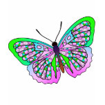 Butterfly - 36 t-shirts