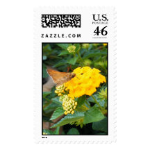Butterfly 3 postage stamp