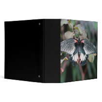 Butterfly 4 3 ring binder