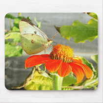 Butterfly 5 mousepads by princessklb07 Butterfly 5 mousepads