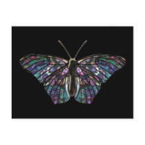 Butterfly-5 Postcard