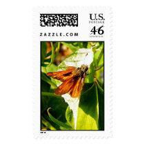 Butterfly 7 postage