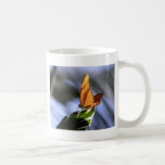 butterfly about its business mugs