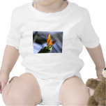 butterfly about its business t-shirts