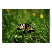 Butterfly and Buttercups Spring Equinox Card