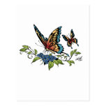 Butterfly and Butterflies full color by Al Rio Post Cards