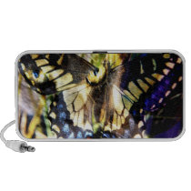 Butterfly and cat collage speakers