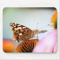 Butterfly And Coneflower mousepads