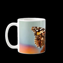 Butterfly And Coneflower mugs