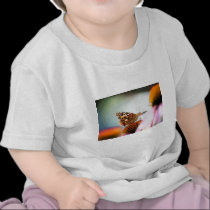 Butterfly And Coneflower t-shirts