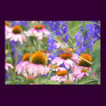 Butterfly and Daisies