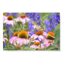 Butterfly and Daisies posters