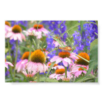 Butterfly and Daisies posters