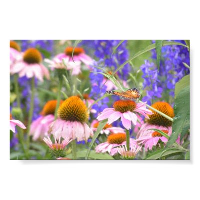 Butterfly and Daisies Posters by wyndryder4