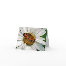 Butterfly and Daisy Note Card by JeanBHall Butterfly and Daisy Note Card