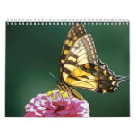 Butterfly and Flower Calendar