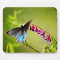 Butterfly And Flower mousepads