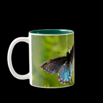 Butterfly And Flower mugs