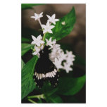 Butterfly and flower custom stationery