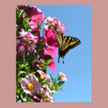 Butterfly and Flowers II posters