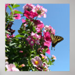 Butterfly and Flowers II Print