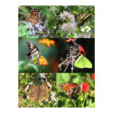 Butterfly and Flowers Patchwork posters