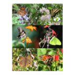 Butterfly and Flowers Patchwork