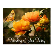 Butterfly and Flowers Postcard