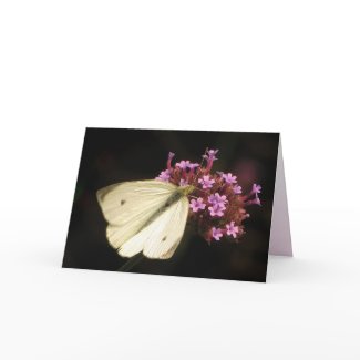 Butterfly and Flowers Valentine