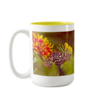 Butterfly and Gaillardia mugs by Daru_Stevens Butterfly and Gaillardia mugs