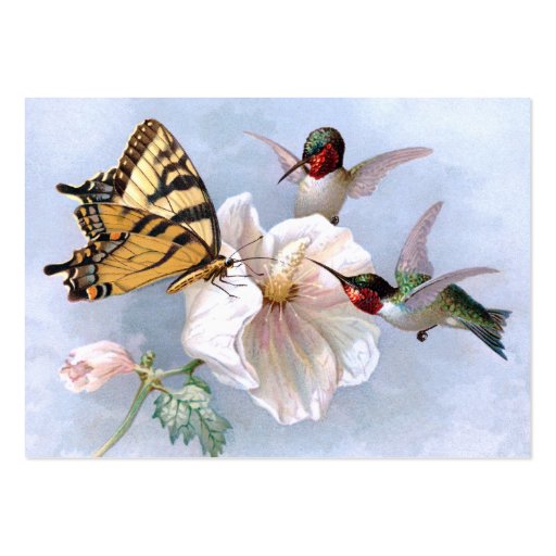Butterfly and Hummingbirds Business Card Templates