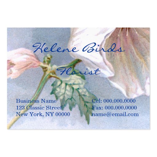 Butterfly and Hummingbirds Business Card Templates (back side)