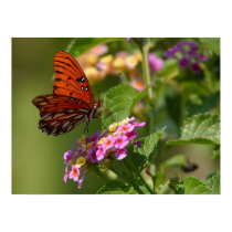 Butterfly and Lantana posters by SweetRascal Butterfly and Lantana posters