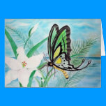 Butterfly and Lily Cards cards