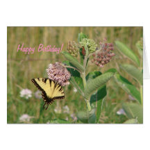 Butterfly and Milkweed Happy Birthday Card