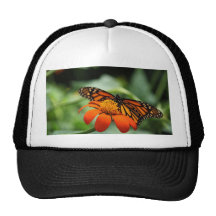 Butterfly and Orange Flower Trucker Hats