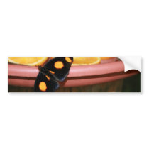 Butterfly and Oranges bumper stickers by angela65 Butterfly and Oranges bumper stickers