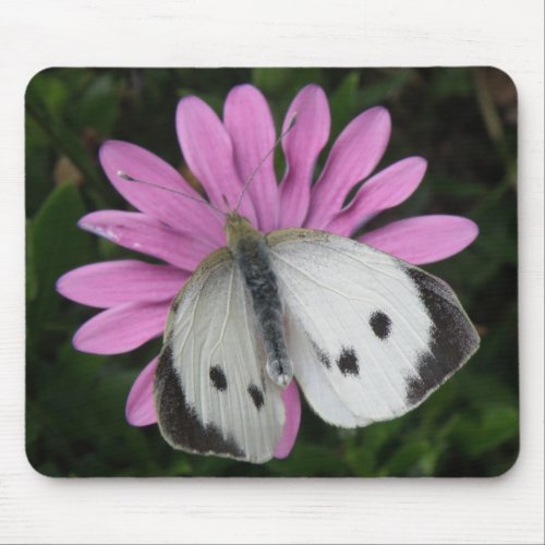 Butterfly and Pink Flower Mousepad mousepad