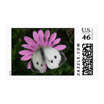 Butterfly and Pink Flower Postage Stamp