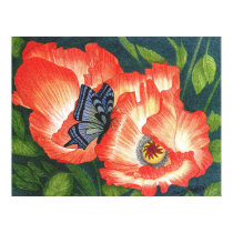Butterfly and Poppies posters by Paden_Gallery Butterfly and Poppies posters