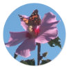 Butterfly and Rose of Sharon sticker