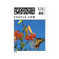 Butterfly and Sky Free postage